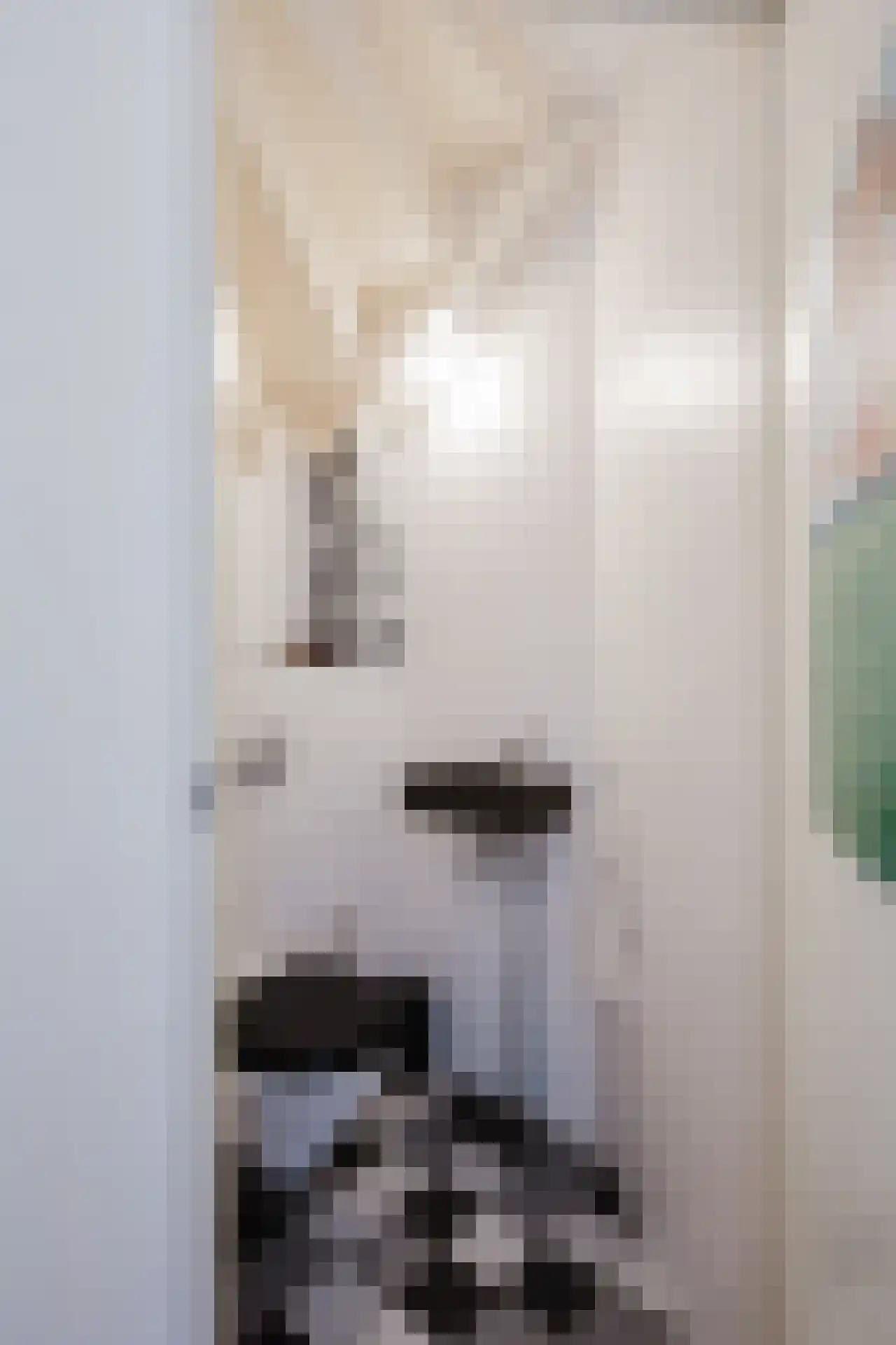 Annette Versluys-Poelmanstraat 32 Spijkenisse thumbnail 19