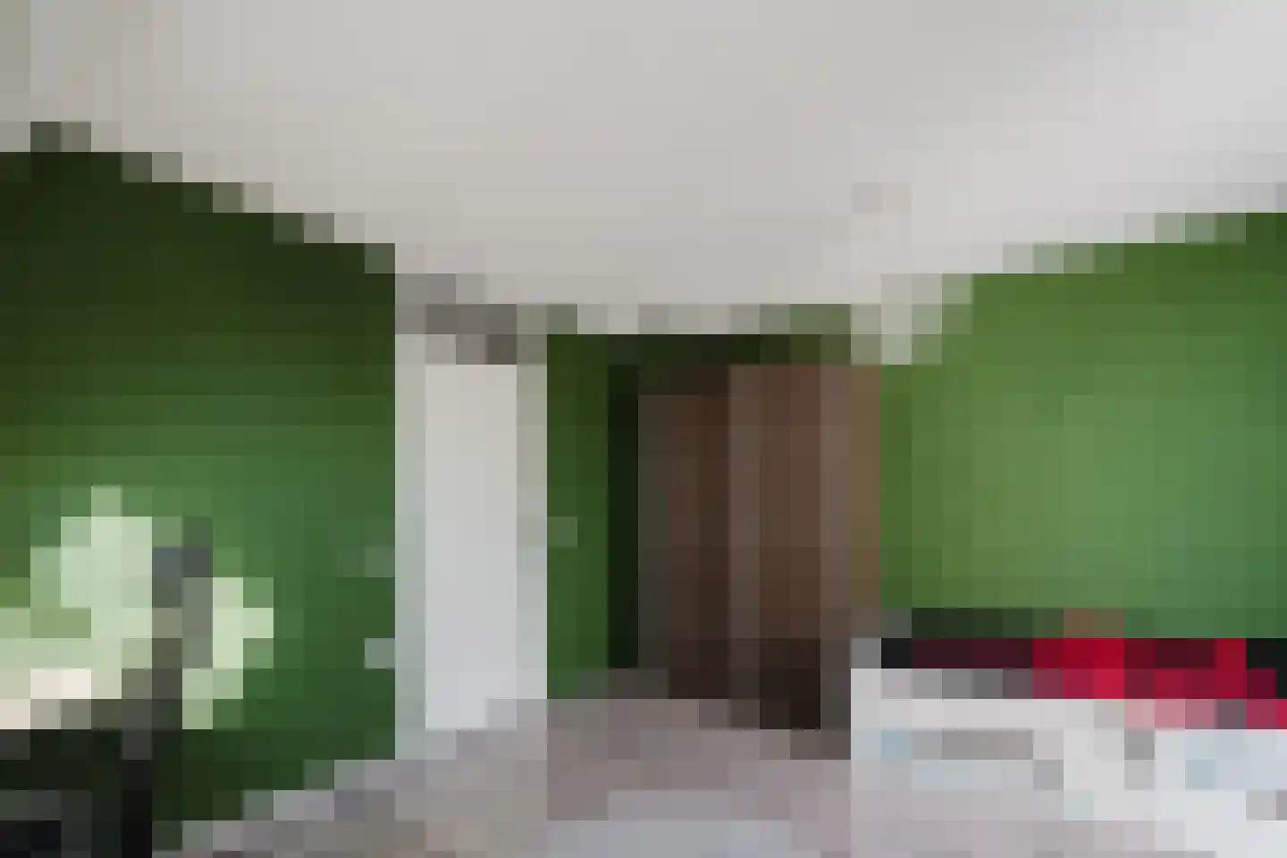 Annette Versluys-Poelmanstraat 32 Spijkenisse thumbnail 25