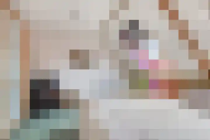 Annette Versluys-Poelmanstraat 5 Spijkenisse thumbnail 21