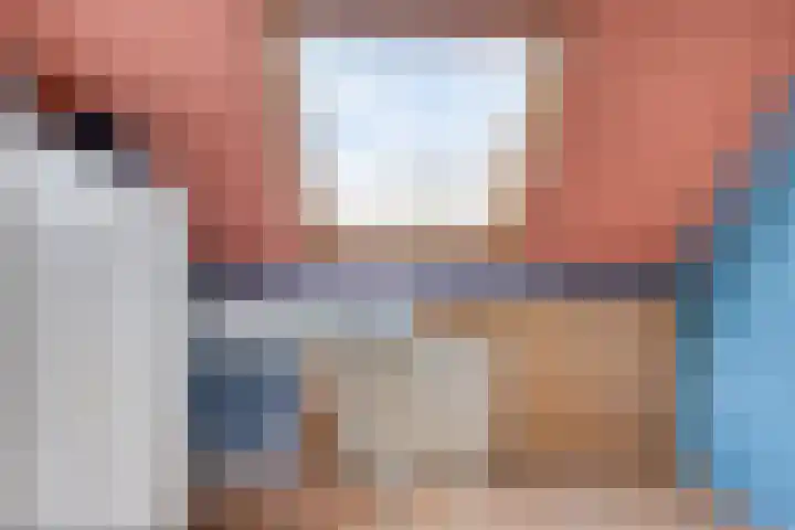 Annette Versluys-Poelmanstraat 5 Spijkenisse thumbnail 31