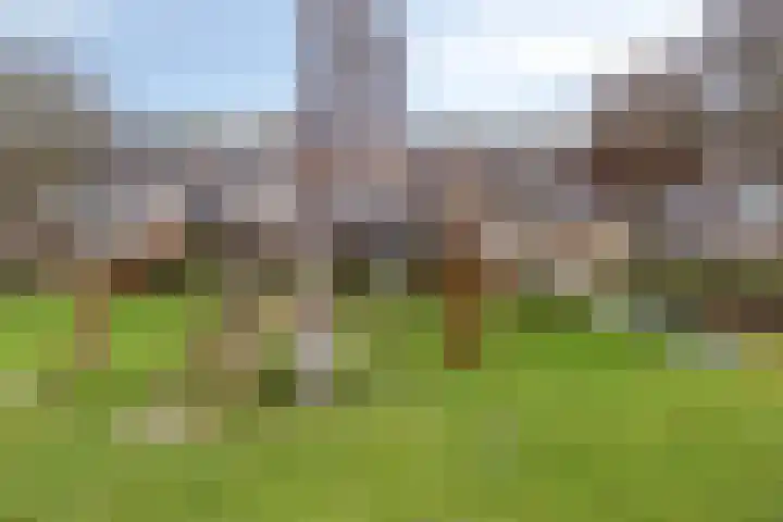 Annette Versluys-Poelmanstraat 5 Spijkenisse thumbnail 35