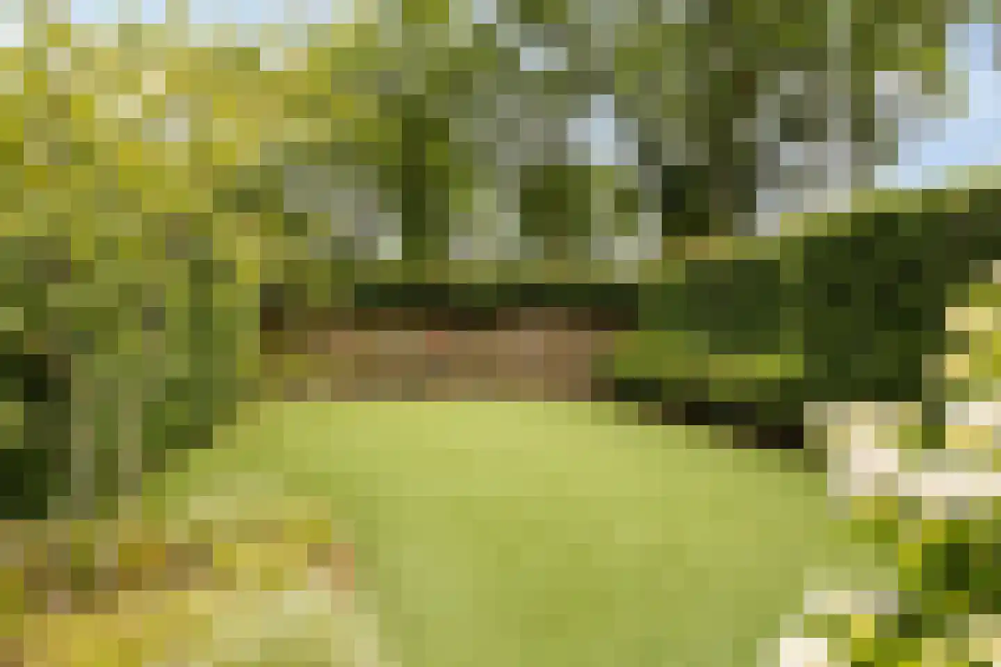 Anneville-laan 110 Ulvenhout thumbnail 41