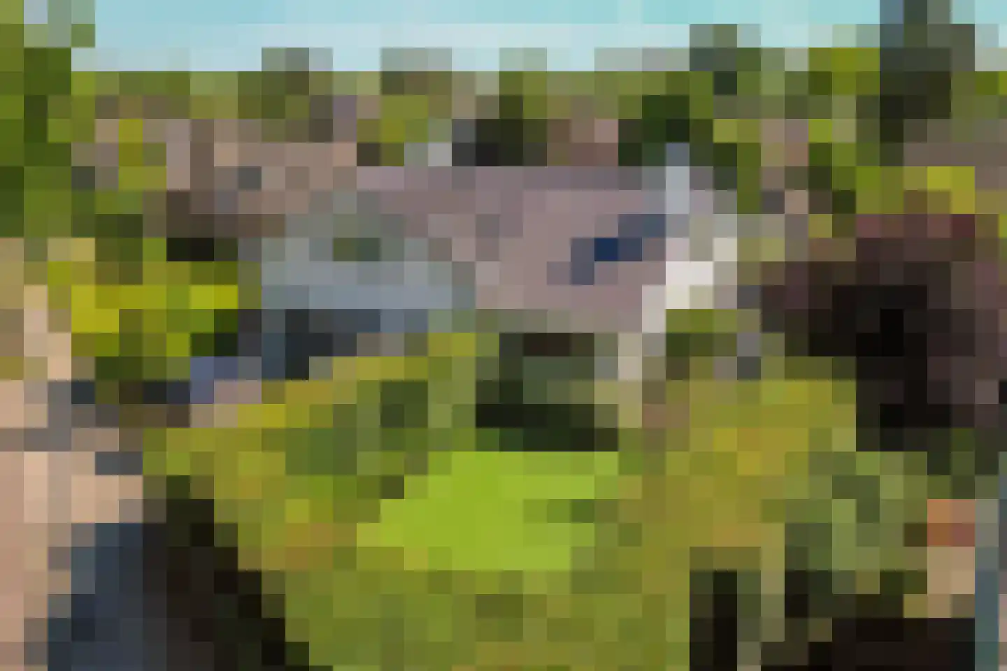Anneville-laan 110 Ulvenhout thumbnail 42