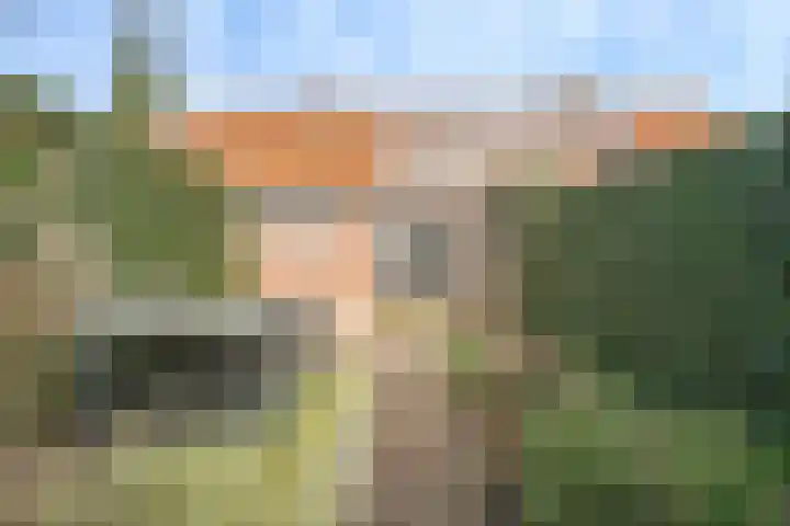 Anneville-laan 24 Ulvenhout thumbnail 31