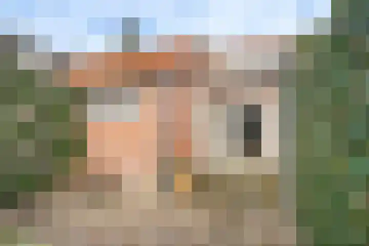 Anneville-laan 24 Ulvenhout thumbnail 33