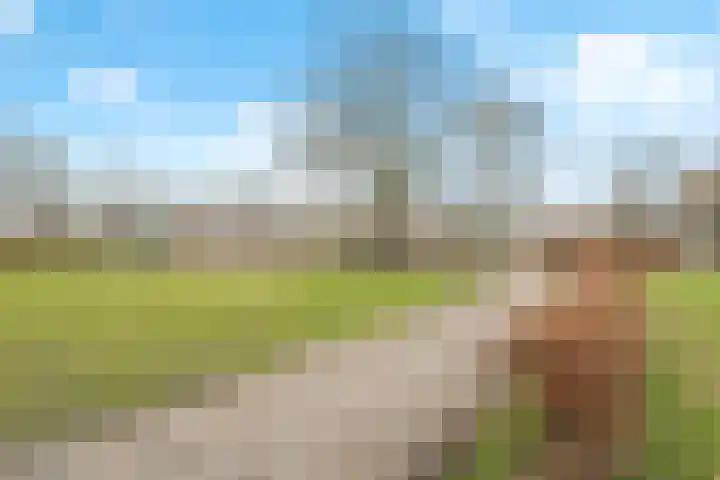 Anneville-laan 24 Ulvenhout thumbnail 38