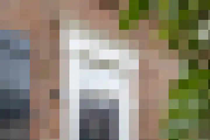 Anneville-laan 24 Ulvenhout thumbnail 5