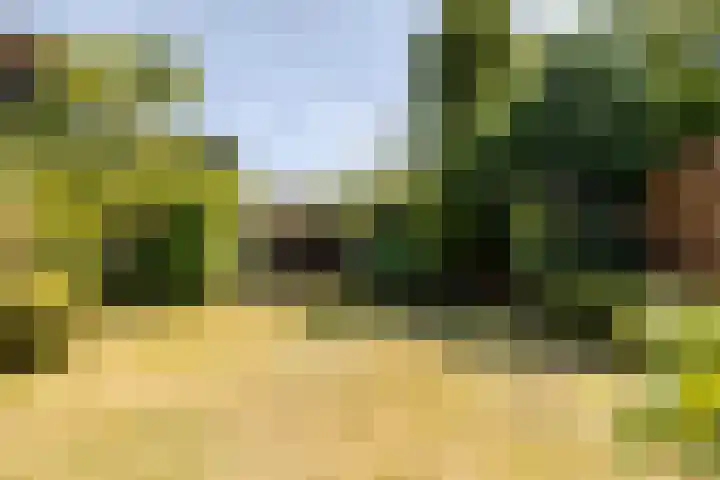 Anneville-laan 66 Ulvenhout thumbnail 27