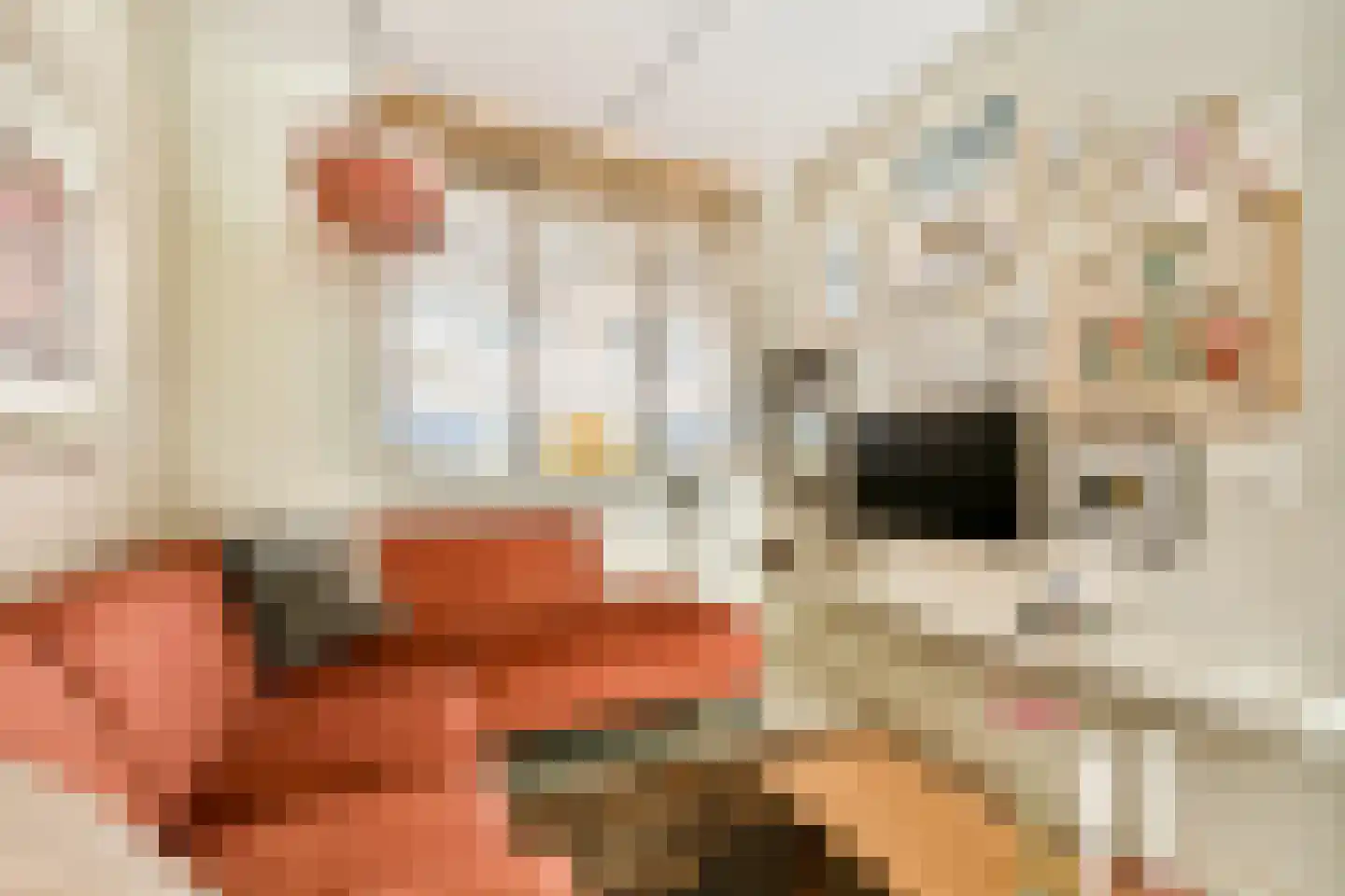 Annie Boshof 6 Amsterdam thumbnail 12