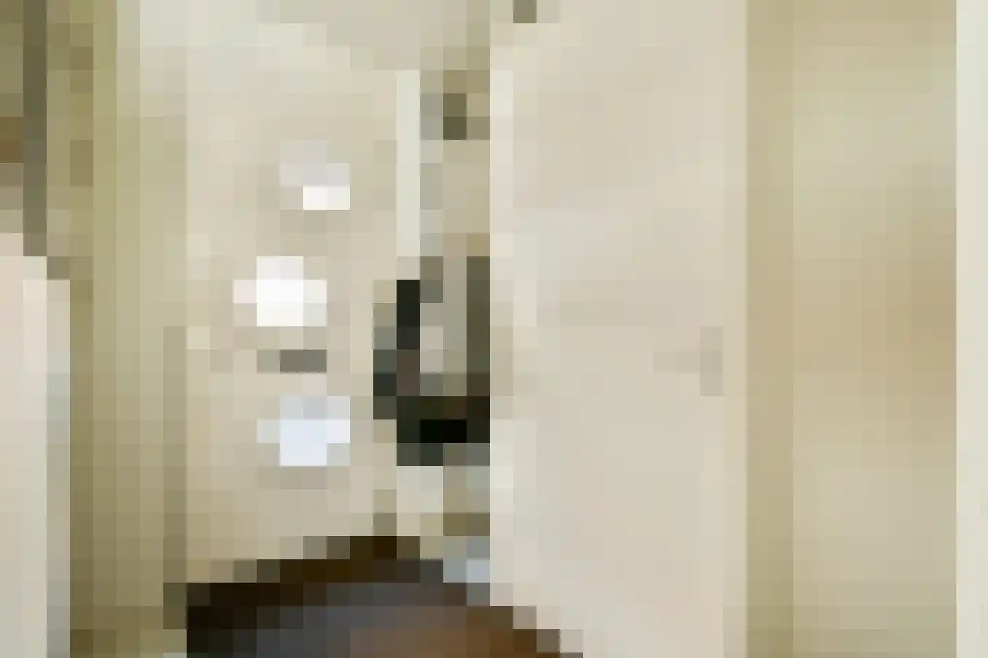 Annie Boshof 6 Amsterdam thumbnail 30