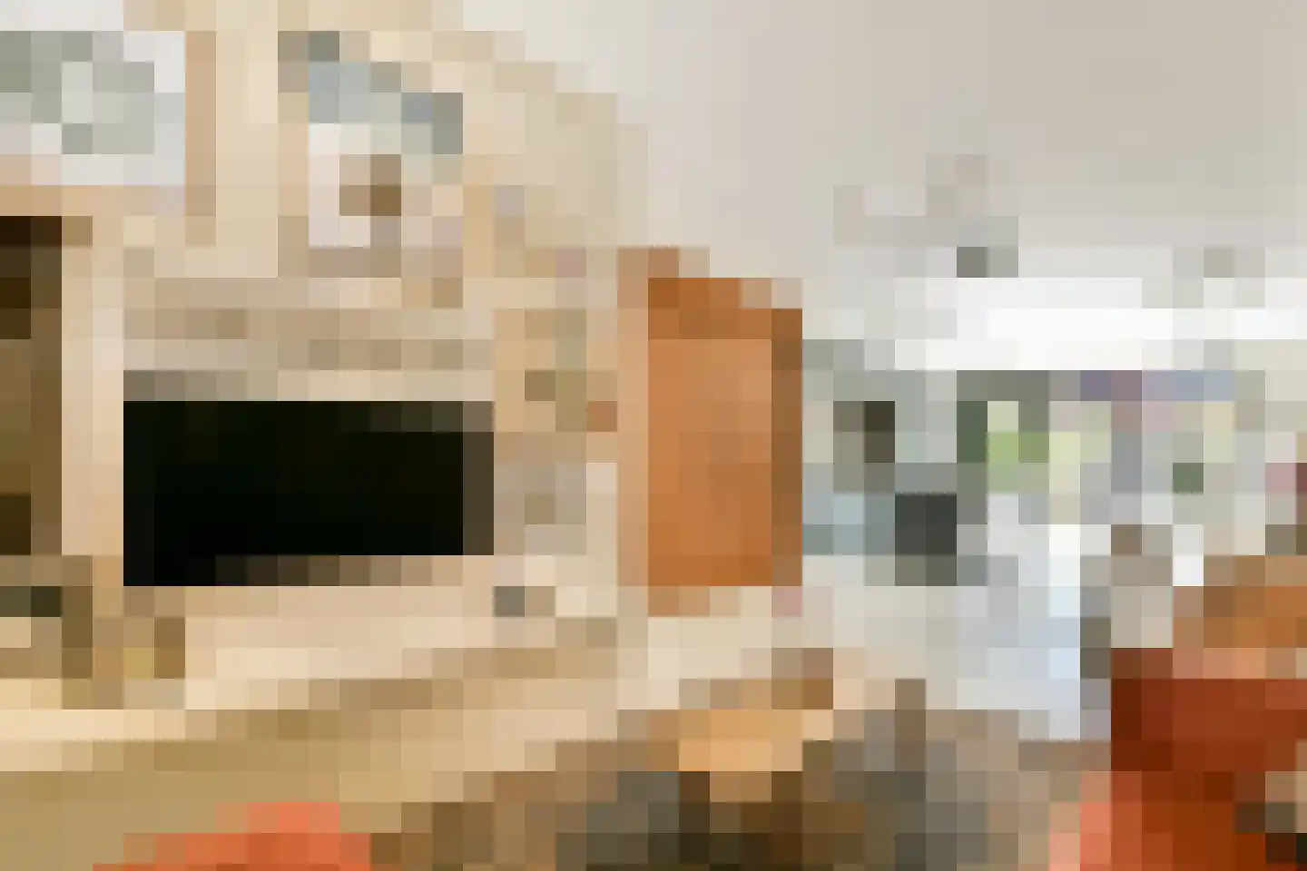 Annie Boshof 6 Amsterdam thumbnail 5