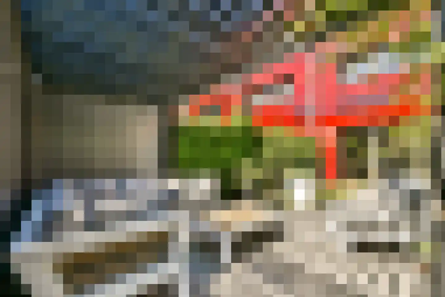 Annie Boshof 6 Amsterdam thumbnail 8