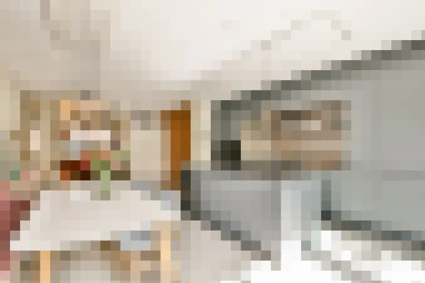 Annie Boshof 6 Amsterdam thumbnail 9
