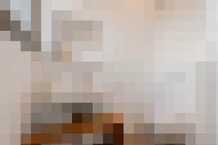 Annie Boshof 7 Amsterdam thumbnail 47