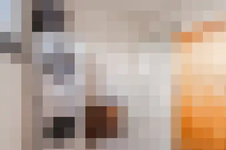 Annie Boshof 7 Amsterdam thumbnail 49