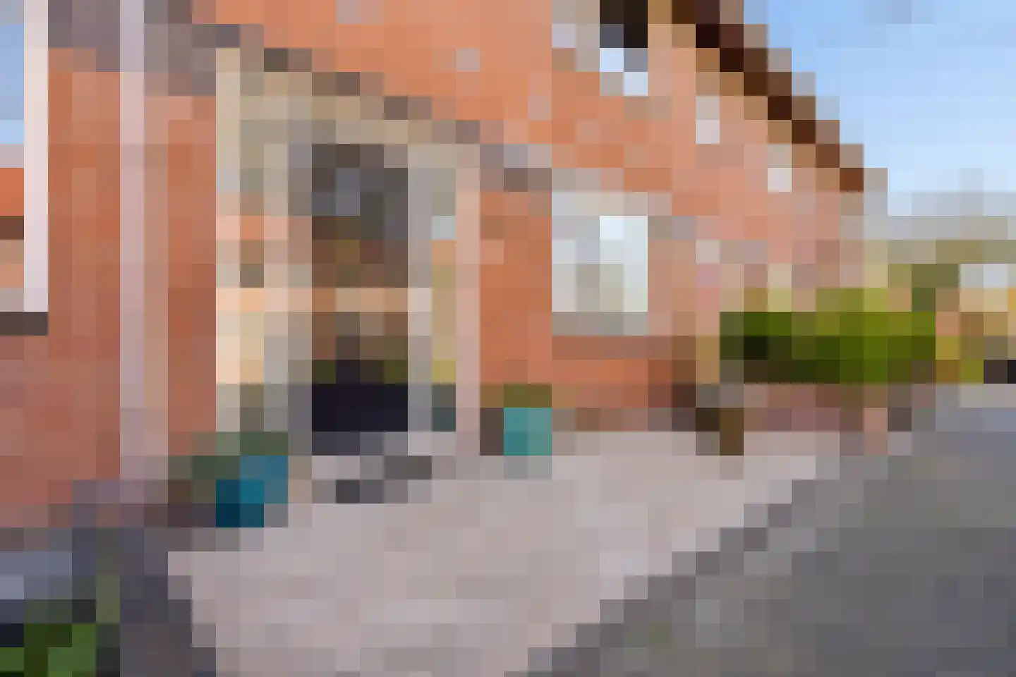 Annie Bosstraat 61 Almere thumbnail 53