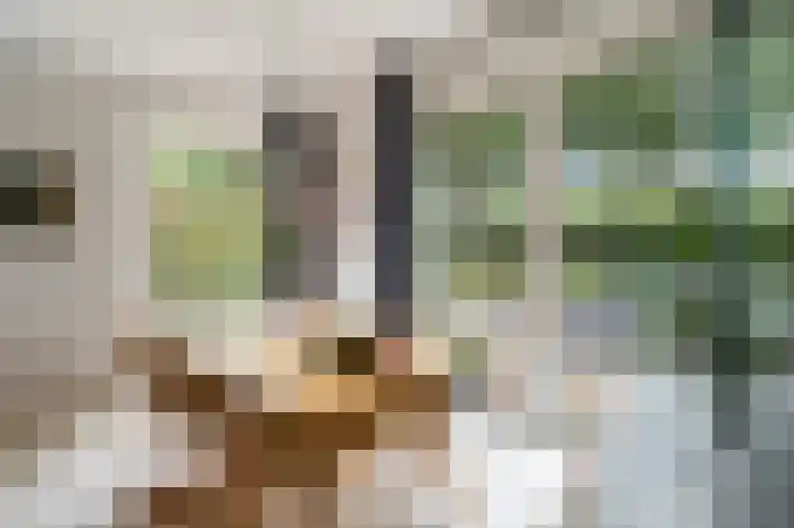 Annie de Reuverhof 7 Rotterdam thumbnail 13