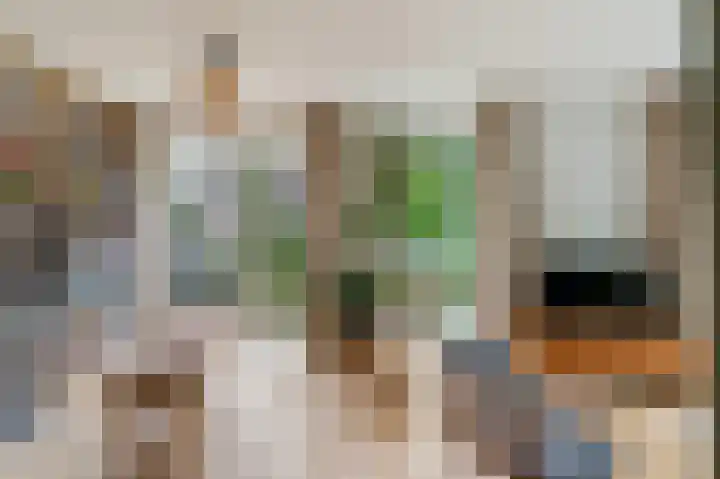 Annie de Reuverhof 7 Rotterdam thumbnail 20