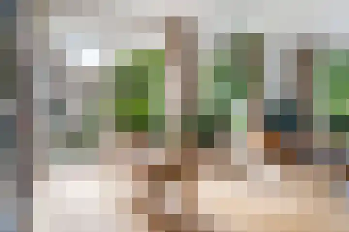Annie de Reuverhof 7 Rotterdam thumbnail 21