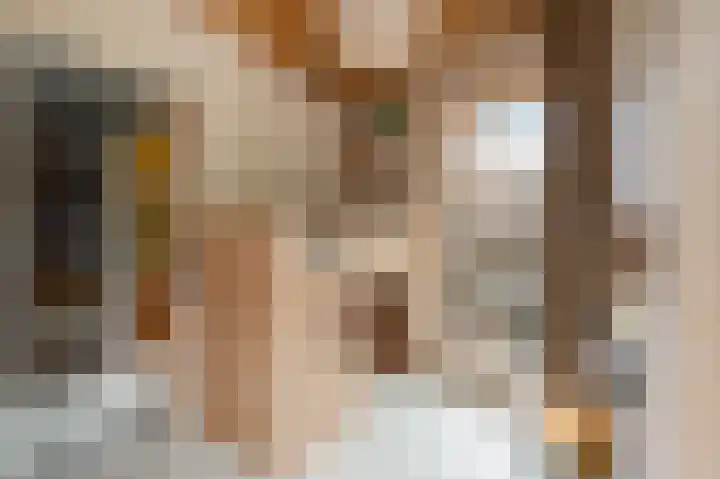 Annie de Reuverhof 7 Rotterdam thumbnail 36