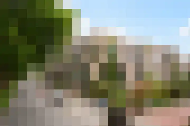 Annie de Reuverhof 7 Rotterdam thumbnail 4