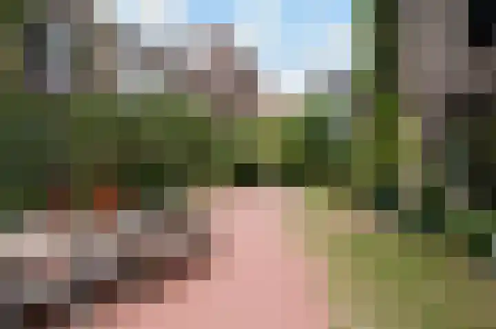 Annie de Reuverhof 7 Rotterdam thumbnail 54