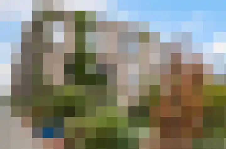 Annie de Reuverhof 7 Rotterdam thumbnail 58