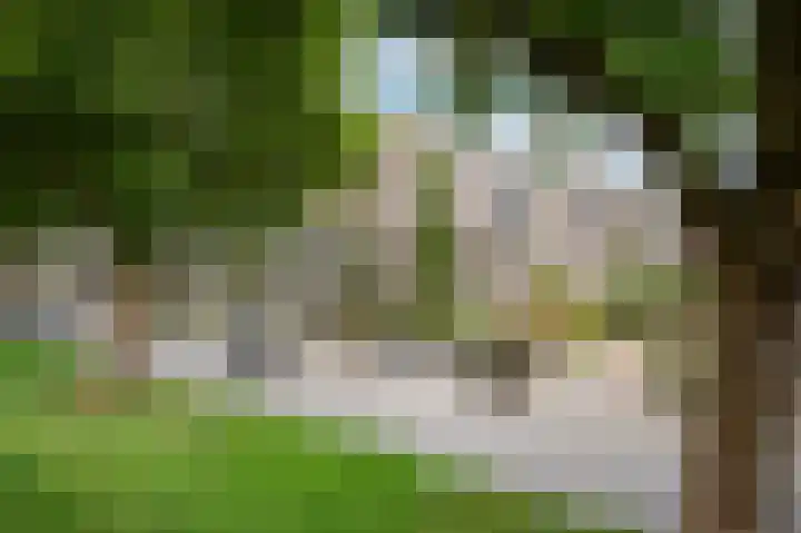 Annie de Reuverhof 7 Rotterdam thumbnail 59