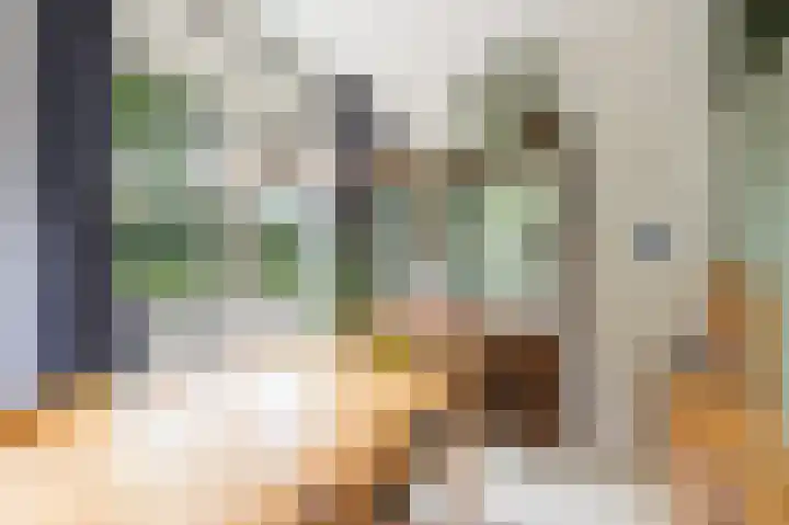 Annie de Reuverhof 7 Rotterdam thumbnail 8