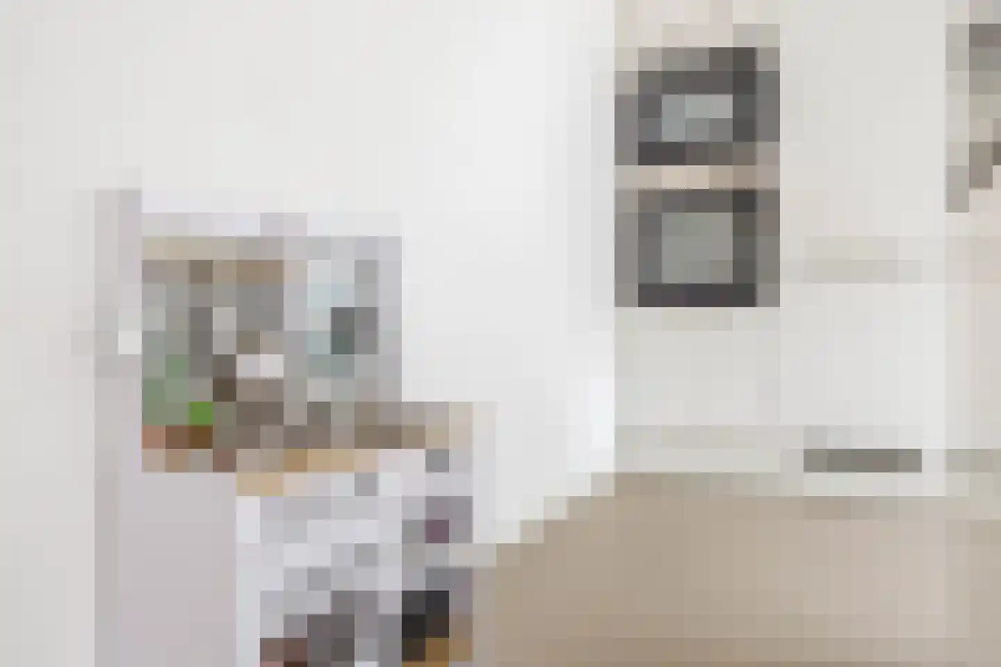 Annie de Reuverhof 8 Rotterdam thumbnail 20
