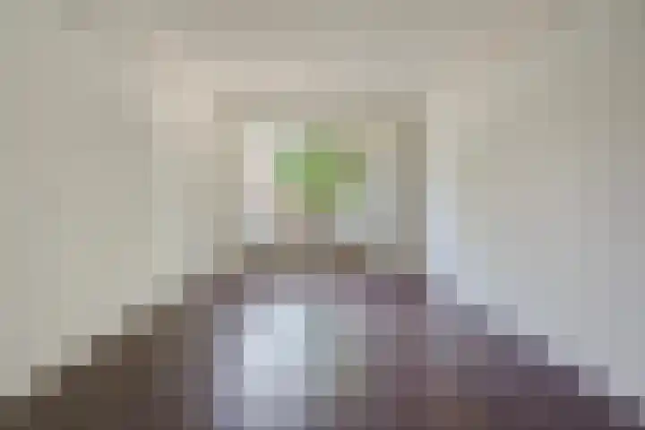 Annie Foorestraat 21 Den Haag thumbnail 6