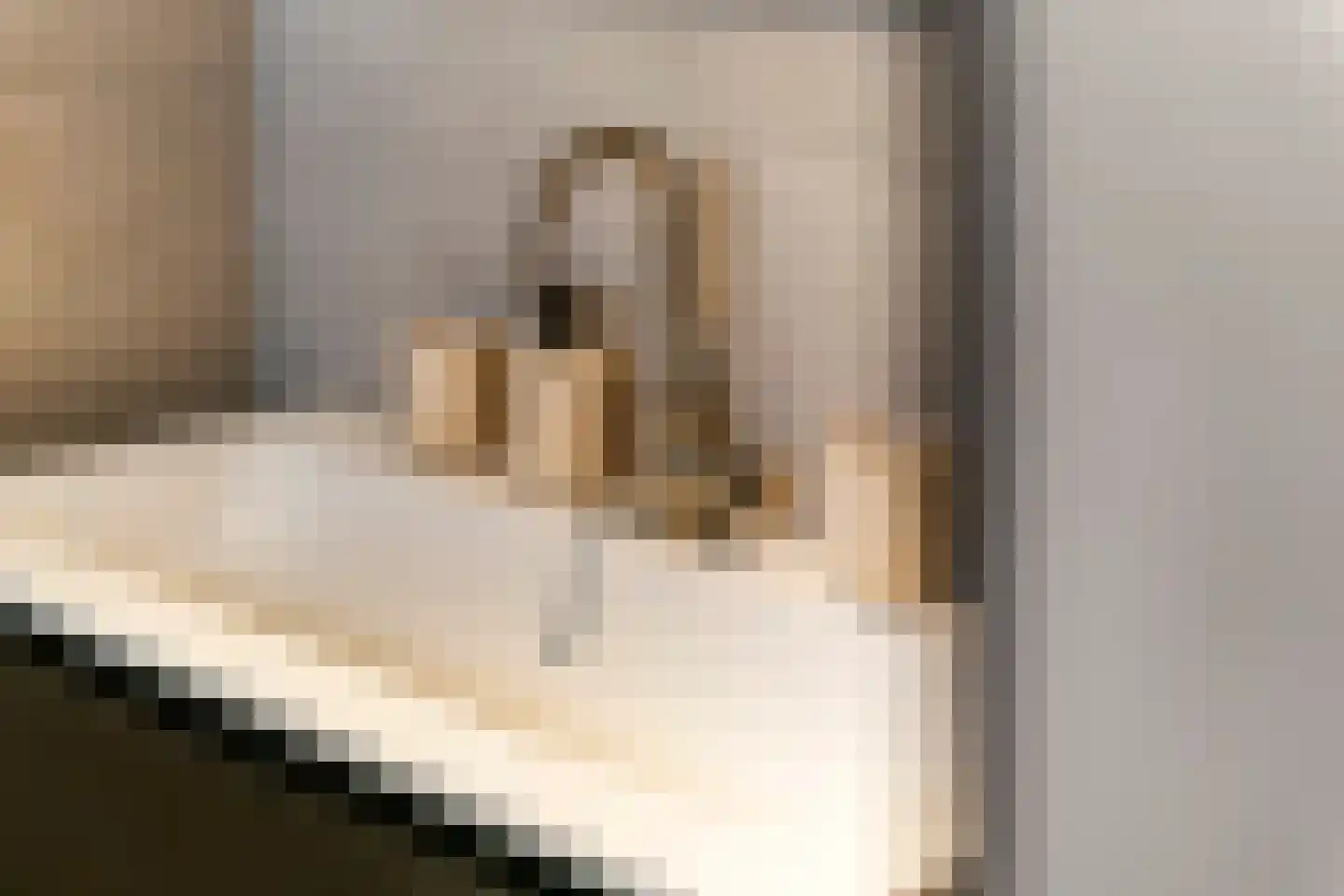 Annie Foorestraat 32 Tiel thumbnail 41