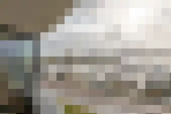 Annie Foorestraat 42 Tiel thumbnail 12