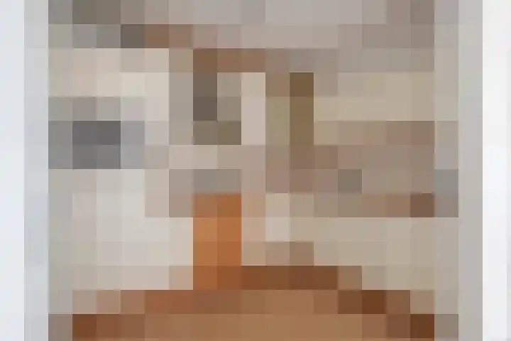 Annie Foorestraat 42 Tiel thumbnail 18