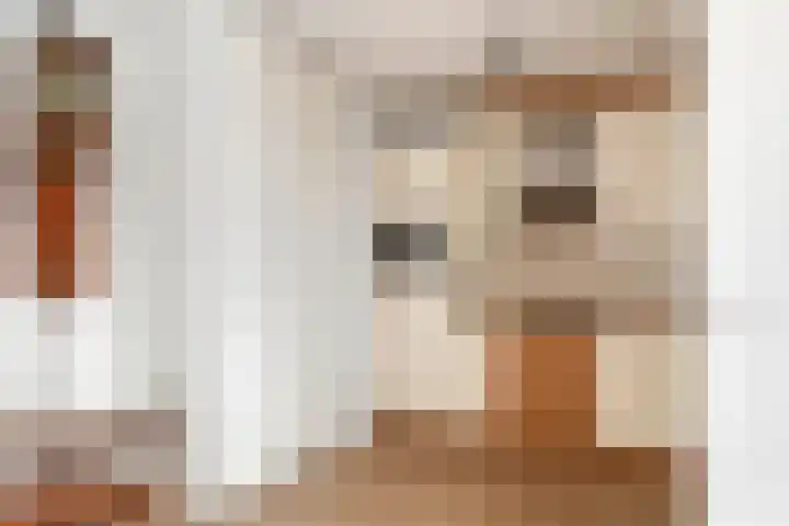 Annie Foorestraat 42 Tiel thumbnail 19