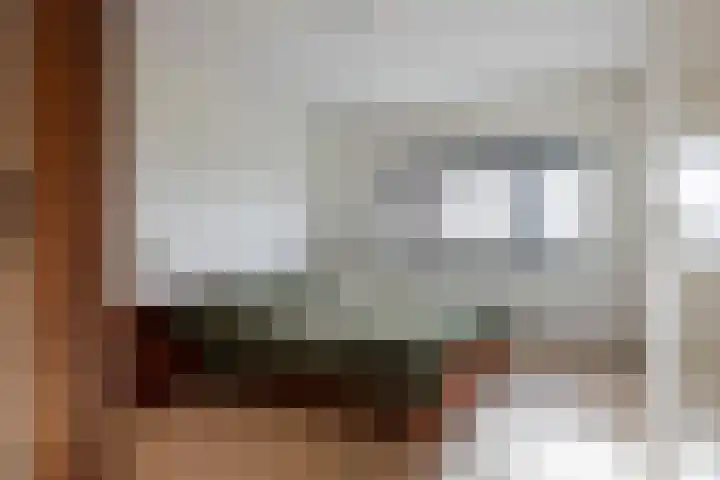 Annie Foorestraat 42 Tiel thumbnail 23