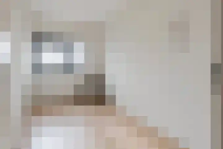 Annie Foorestraat 42 Tiel thumbnail 26