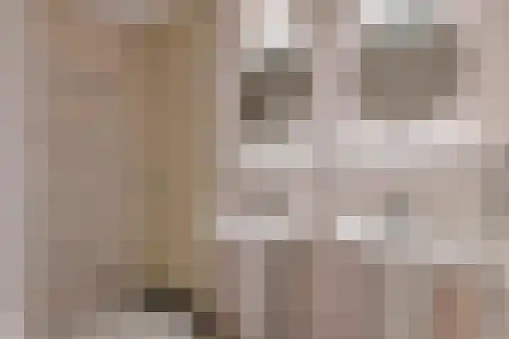 Annie Foorestraat 42 Tiel thumbnail 30