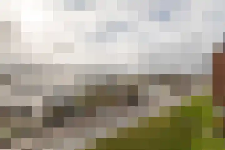 Annie Foorestraat 42 Tiel thumbnail 33