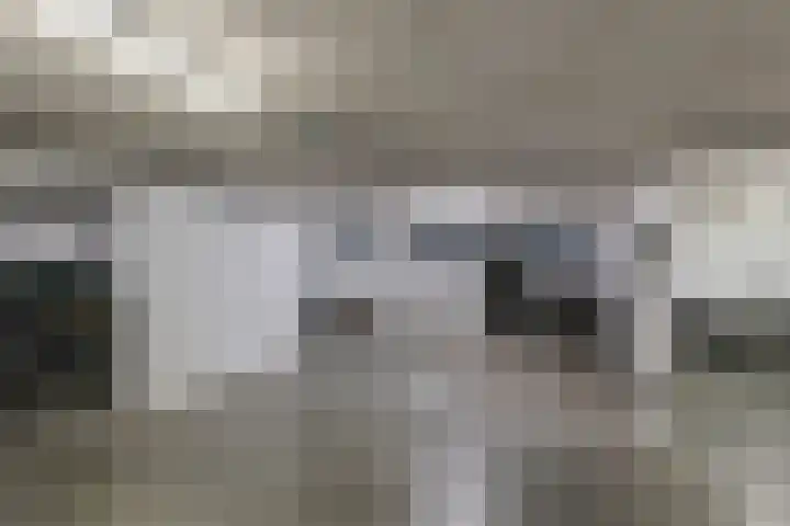Annie Foorestraat 42 Tiel thumbnail 34