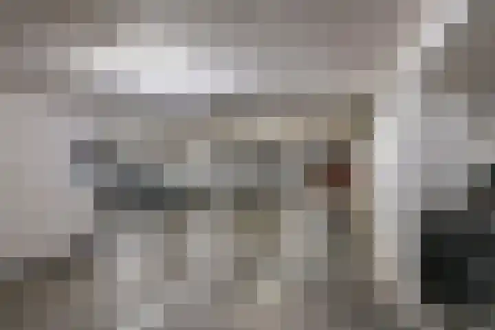 Annie Foorestraat 42 Tiel thumbnail 35