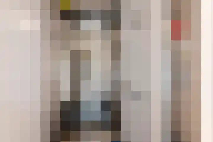 Annie Foorestraat 42 Tiel thumbnail 36