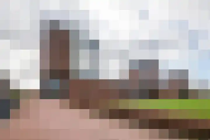 Annie Foorestraat 42 Tiel thumbnail 43