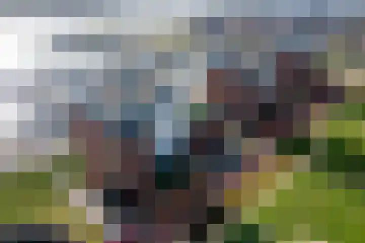 Annie Foorestraat 42 Tiel thumbnail 52