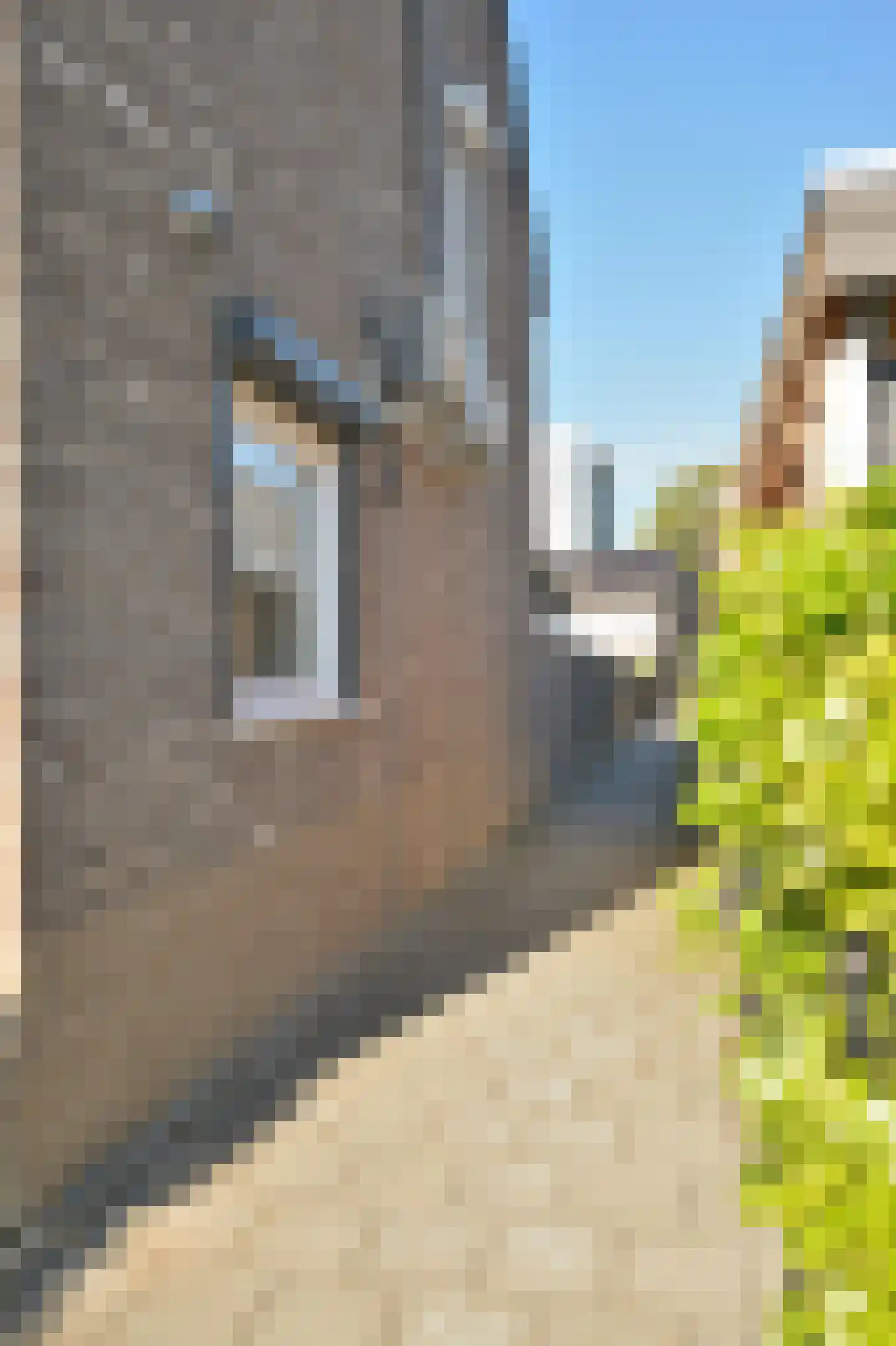 Annie M.G. Schmidt-plantsoen 2 Heerlen thumbnail 25