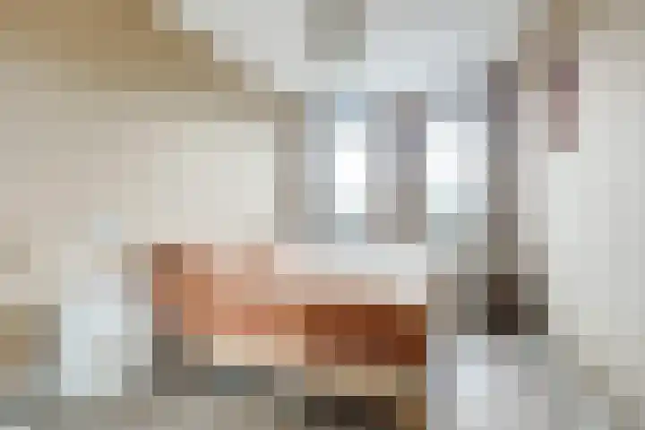 Annie M.G. Schmidthof 13 Nijmegen thumbnail 19