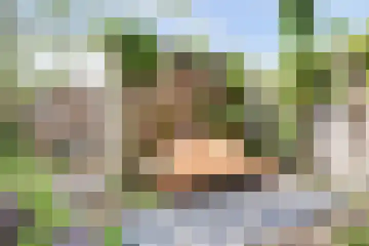 Annie M.G. Schmidthof 13 Nijmegen thumbnail 36