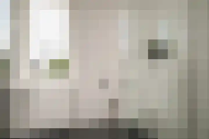 Annie M.G. Schmidthof 13 Zaltbommel thumbnail 23