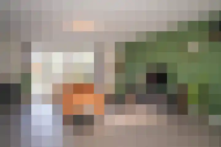 Annie M.G. Schmidthof 17 Zaltbommel thumbnail 15