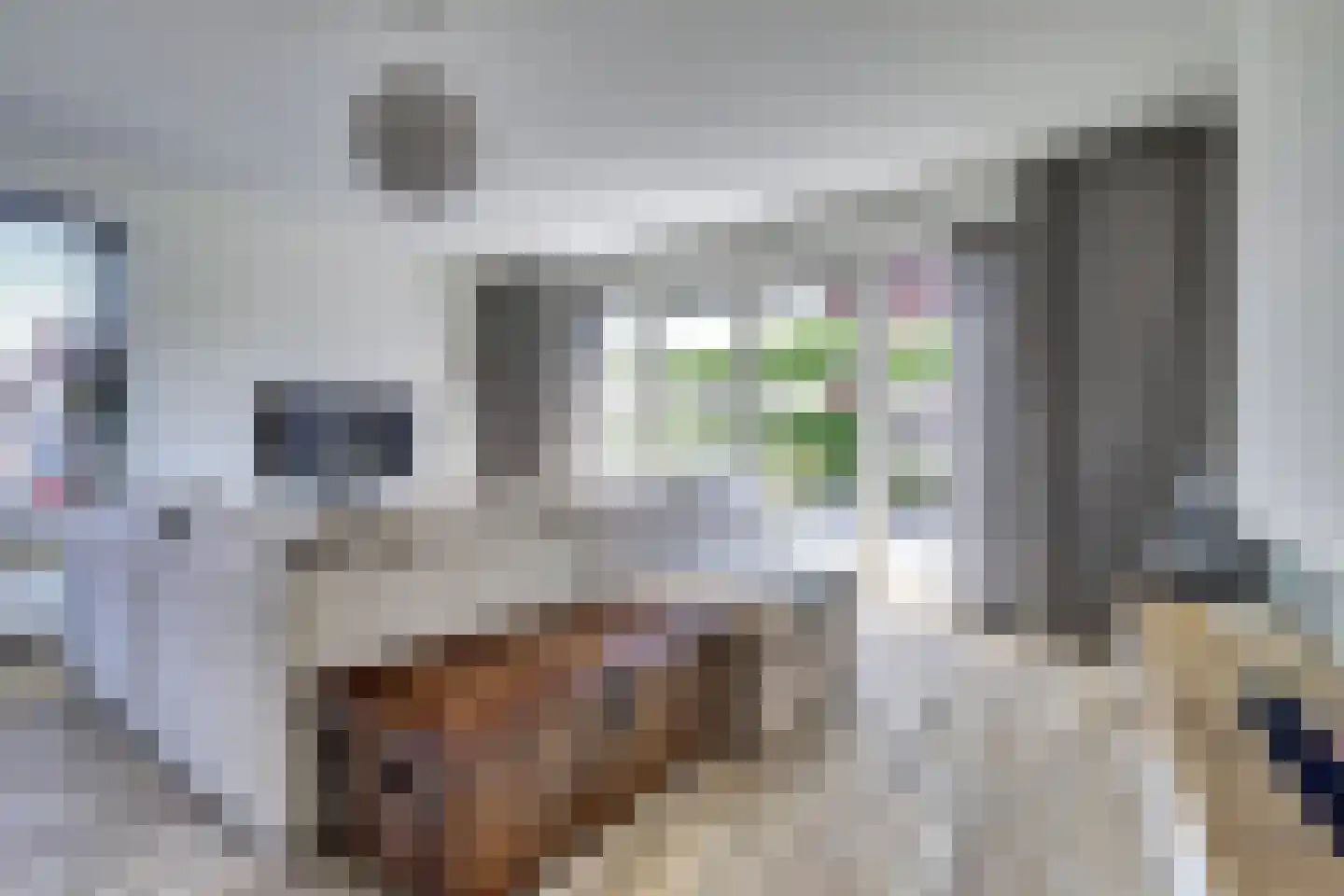 Annie M.G. Schmidthof 2 Zaltbommel thumbnail 18